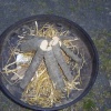 hier f�r eine Vergr��erung klicken