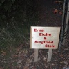 hier f�r eine Vergr��erung klicken